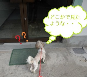 DSCN3709.jpg