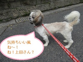 DSCN3714.jpg