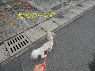 DSCN3717.jpg