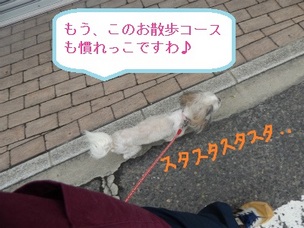DSCN3718.jpg