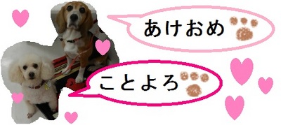 DSCN4024.jpg