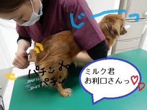 DSCN4161.jpg