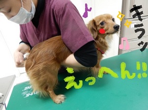 DSCN4162.jpg