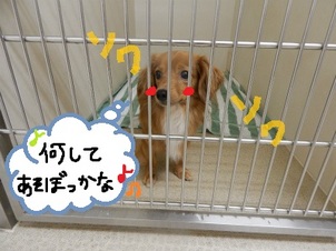 DSCN4182.jpg