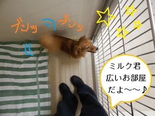 DSCN4189.jpg
