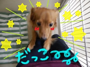 DSCN4194.jpg