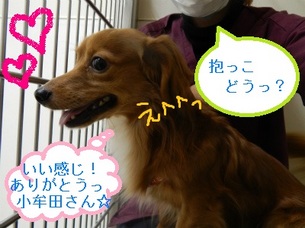 DSCN4208.jpg
