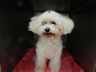 DSCN4481.jpg