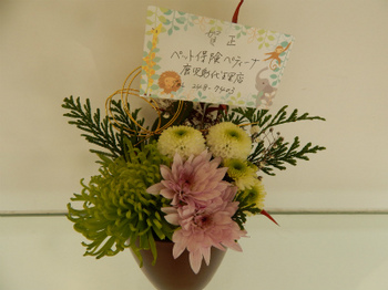 DSCN4492.jpg