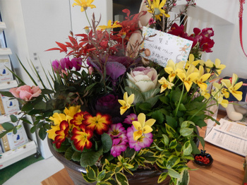 DSCN4493.jpg
