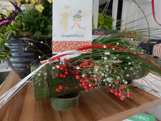 DSCN4494.jpg