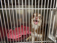 DSCN4516.jpg
