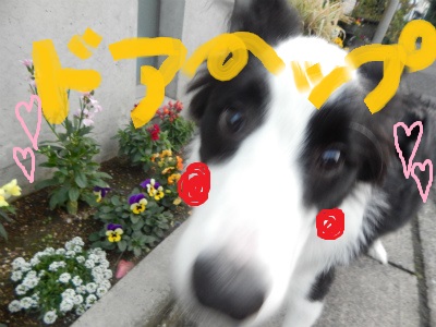 DSCN4685.JPG