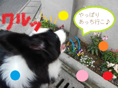 DSCN4686.JPG