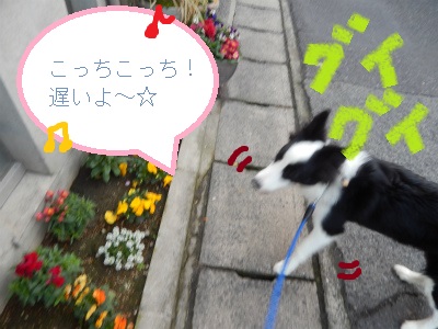 DSCN4687.JPG