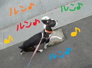 DSCN4722.jpg