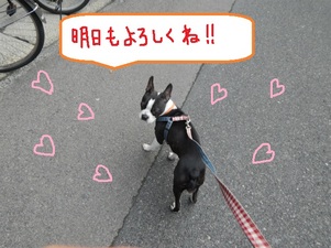 DSCN4725.jpg