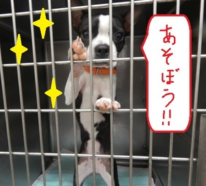 DSCN4740.jpg