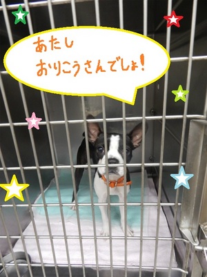 DSCN4741.jpg