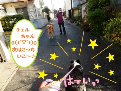 DSCN4760.jpg