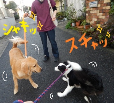 DSCN4761.jpg