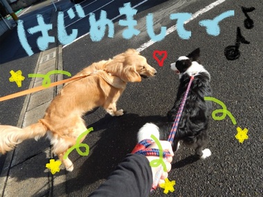 DSCN4764.jpg