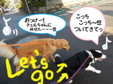 DSCN4767.jpg