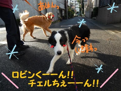 DSCN4772.jpg
