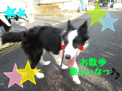 DSCN4774.jpg