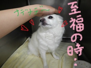 DSCN4951.jpg