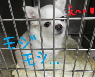 DSCN4953.jpg