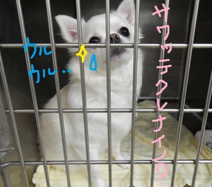 DSCN4956.jpg