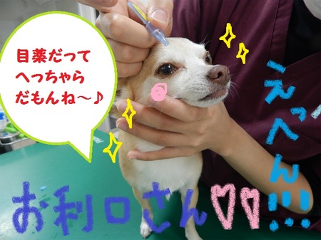 DSCN5519.jpg