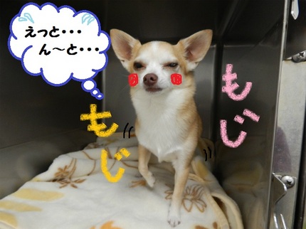DSCN5524.jpg
