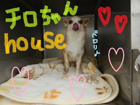 DSCN5526.jpg