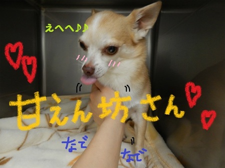 DSCN5528.jpg