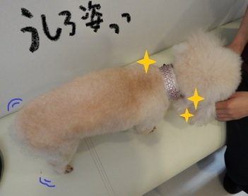 DSCN5547.jpg