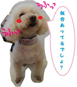 DSCN5548.jpg