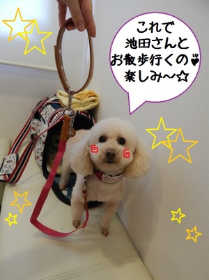 DSCN5552.jpg