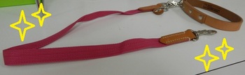 DSCN5554.jpg