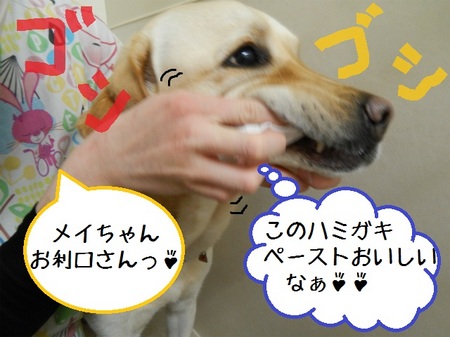 DSCN5578.jpg