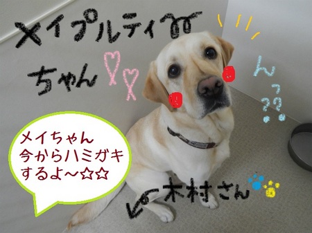 DSCN5586.jpg