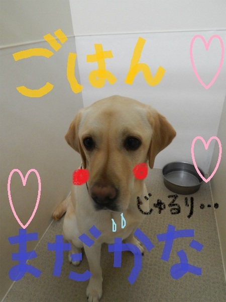 DSCN5587.jpg