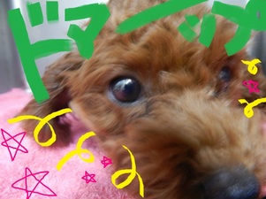 DSCN5644.jpg