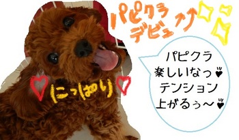 DSCN5763.jpg