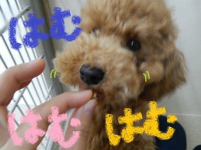 DSCN5810.jpg