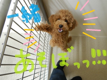 DSCN5813.jpg