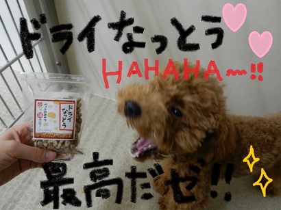 DSCN5823.jpg