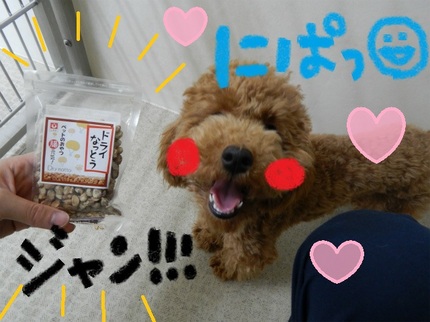 DSCN5824.jpg
