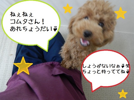 DSCN5826.jpg